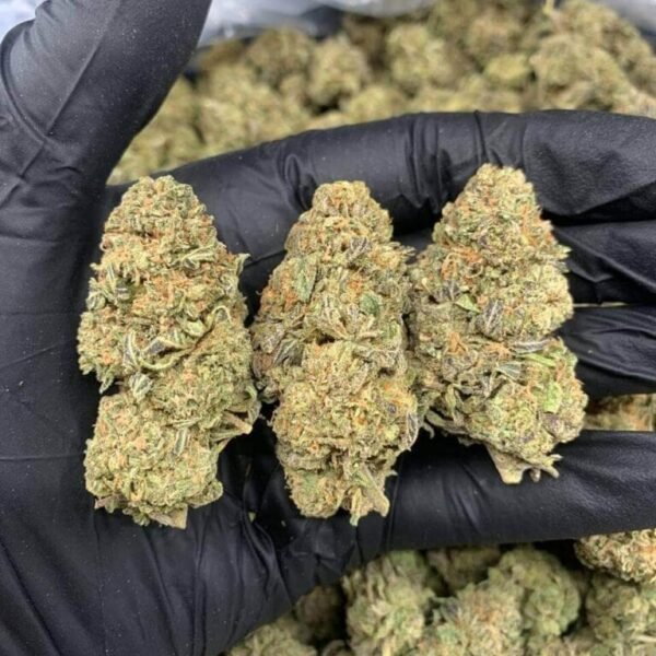 Green Crack