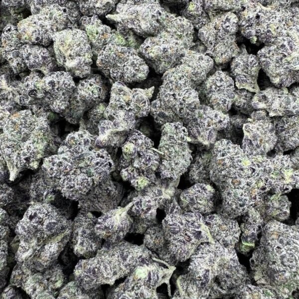 purple Zazitos