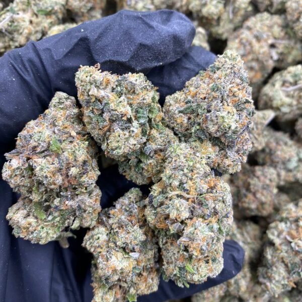 AFGANI GLUE