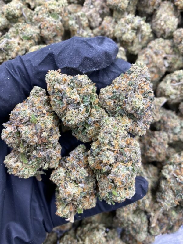 AFGANI GLUE