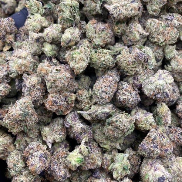 BOLO CANDY RUNTZ EXOTIC SMALLS