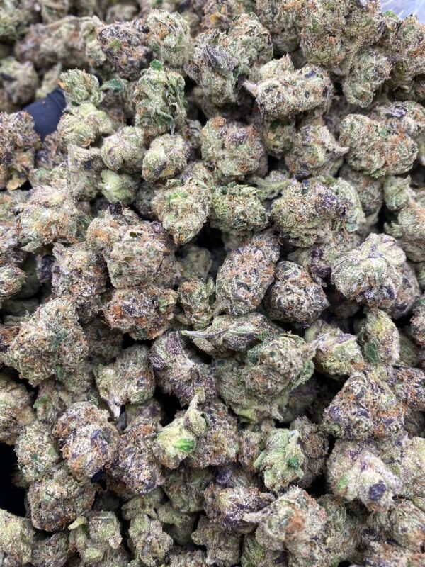 BOLO CANDY RUNTZ EXOTIC SMALLS