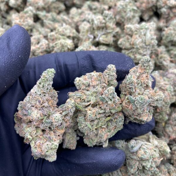 BLUE DREAM