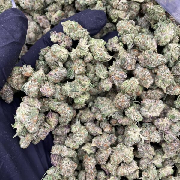 BLUE NERDS SMALLS
